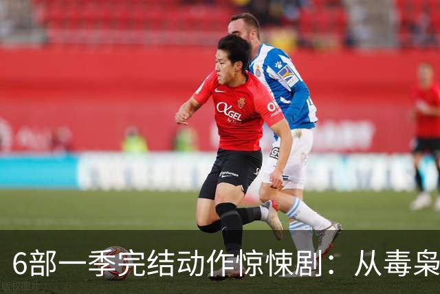 6部一季完结动作惊悚剧：从毒枭运货到卧底复仇，一晚刷完